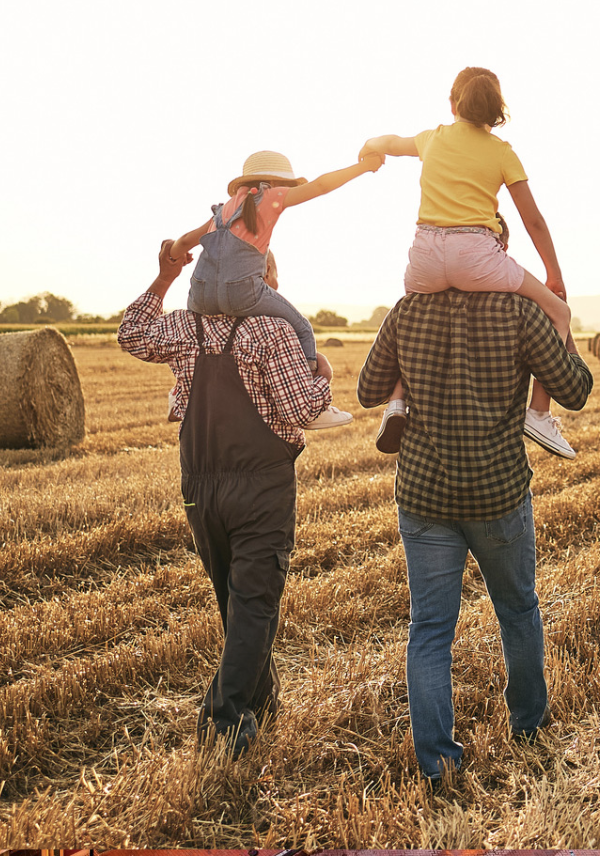 family in-field-01
