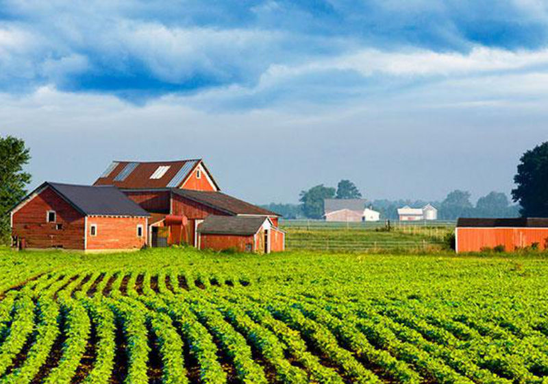 farm 04